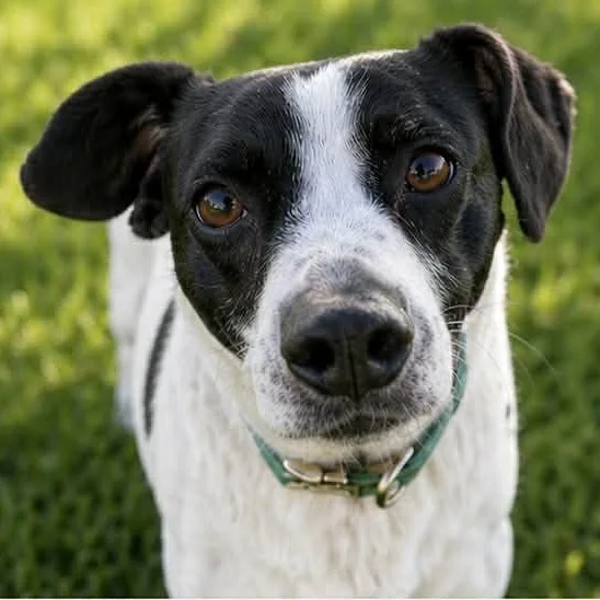 Skittles thumbnail 2