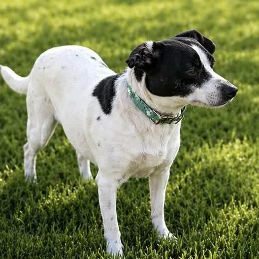 Skittles thumbnail 3