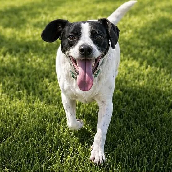 Skittles thumbnail 4