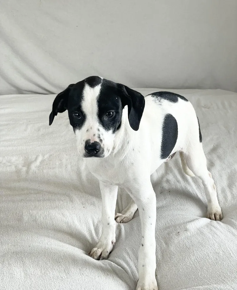 Cuddly Crochet thumbnail 2