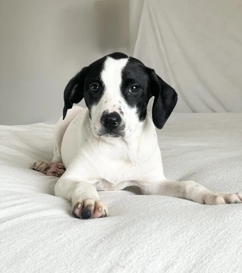 Cuddly Crochet thumbnail 3