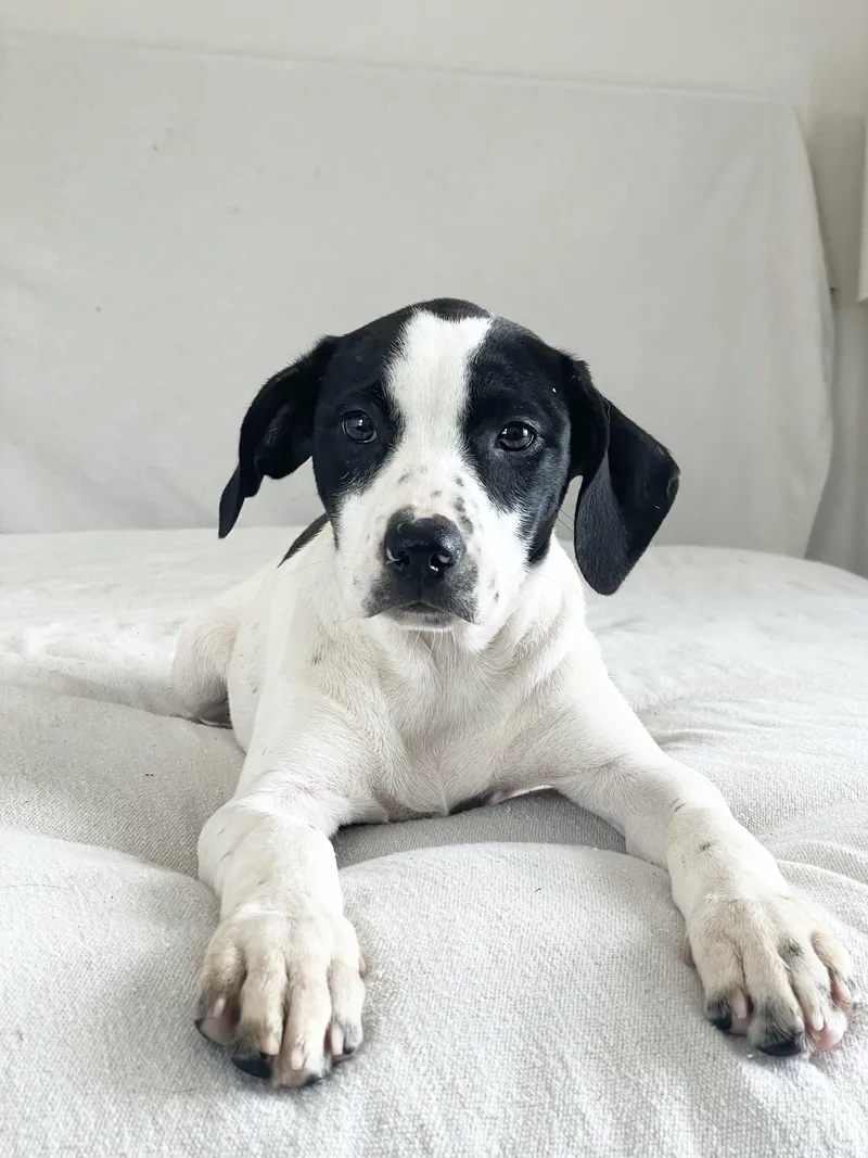 Cuddly Crochet thumbnail 4