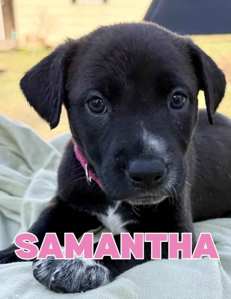 Samantha
