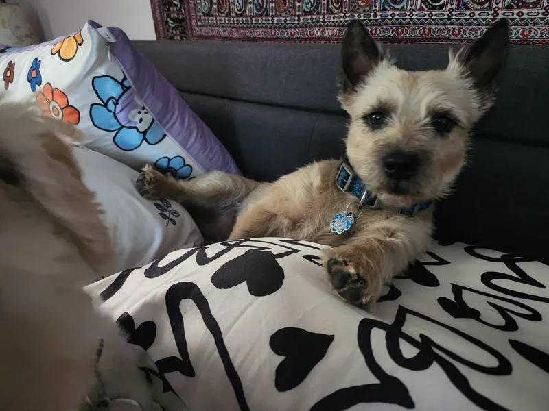 OTIS in Utah thumbnail 2