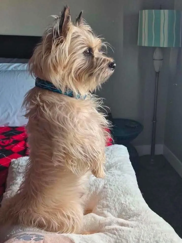 OTIS in Utah thumbnail 3