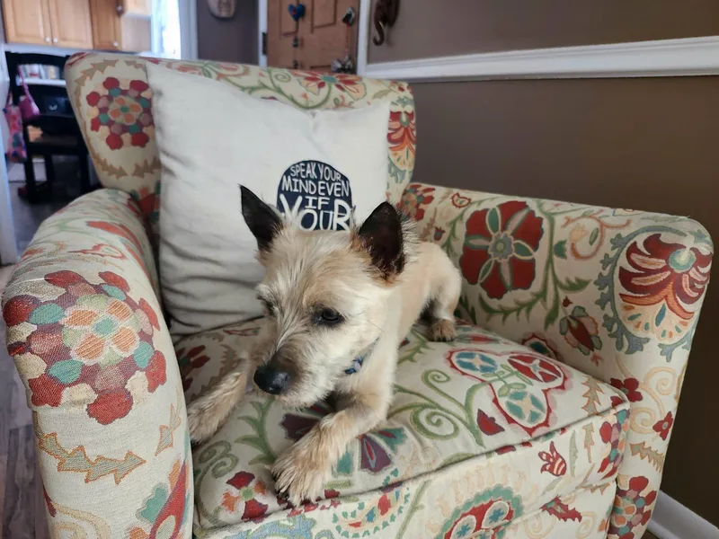 OTIS in Utah thumbnail 5