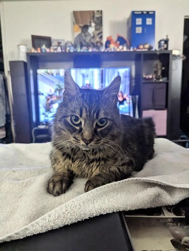 Ferdinand