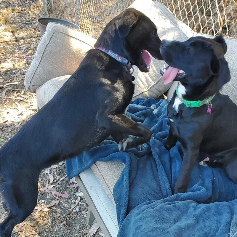 Cowboycccas thumbnail 4