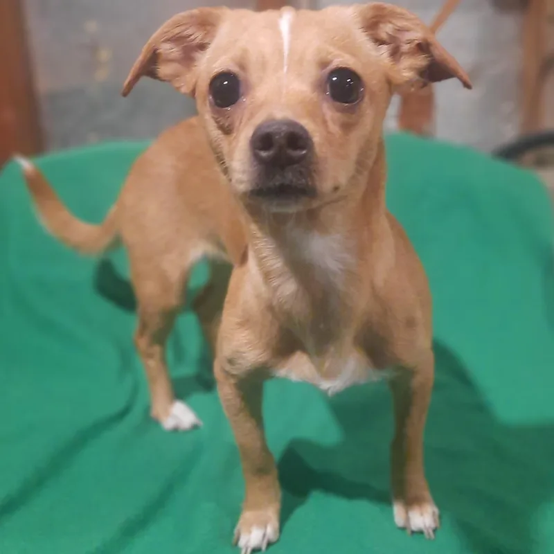Lola thumbnail 2