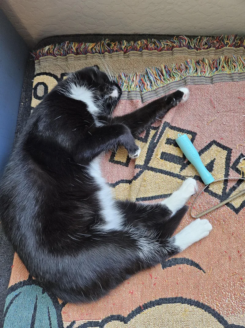 Sporty Spice thumbnail 2