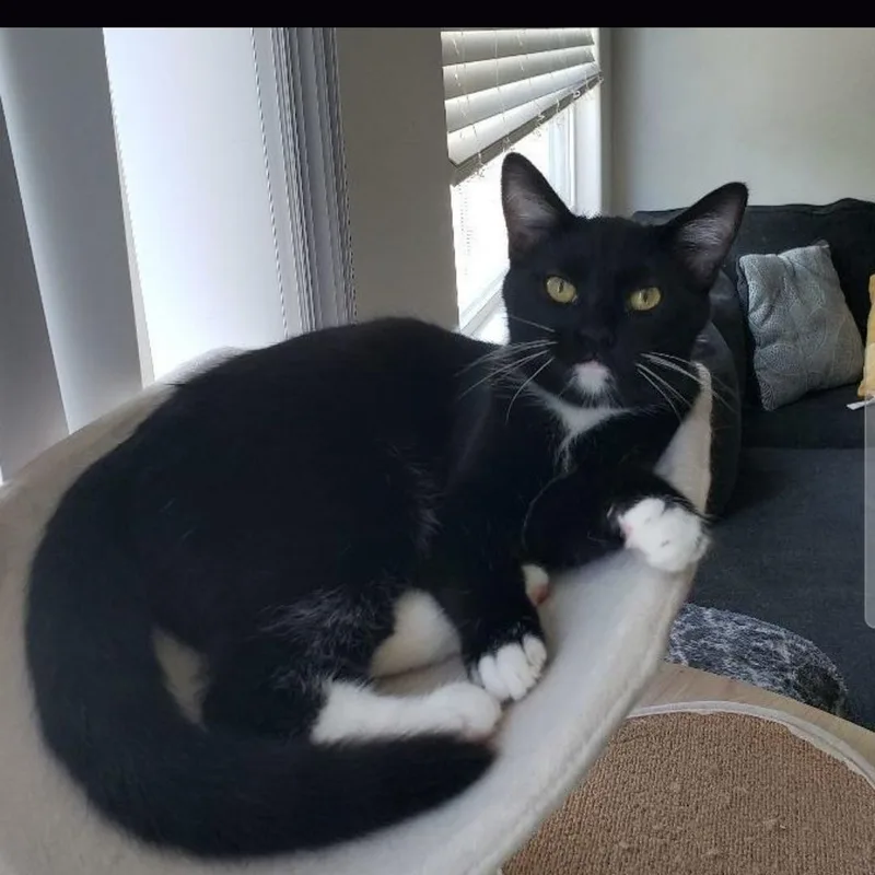 Sporty Spice thumbnail 3