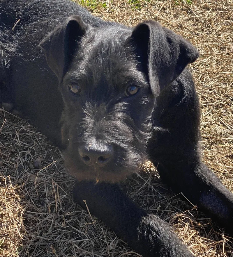 Bruce Thomas thumbnail 2