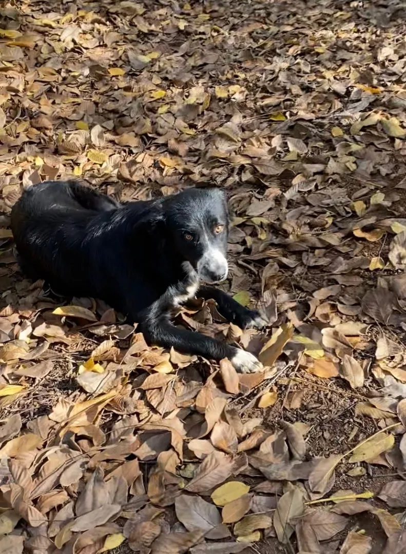 Baylee thumbnail 3