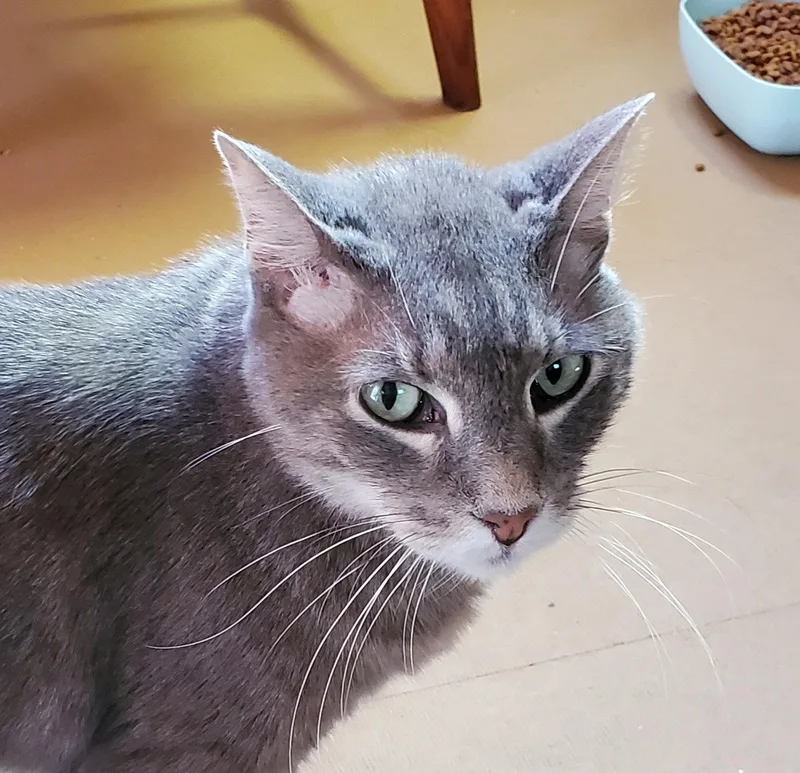 Charlie thumbnail 2