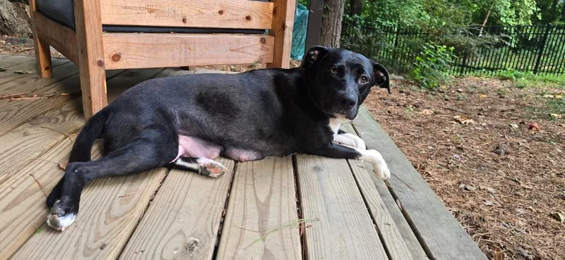 Magic Mama thumbnail 4