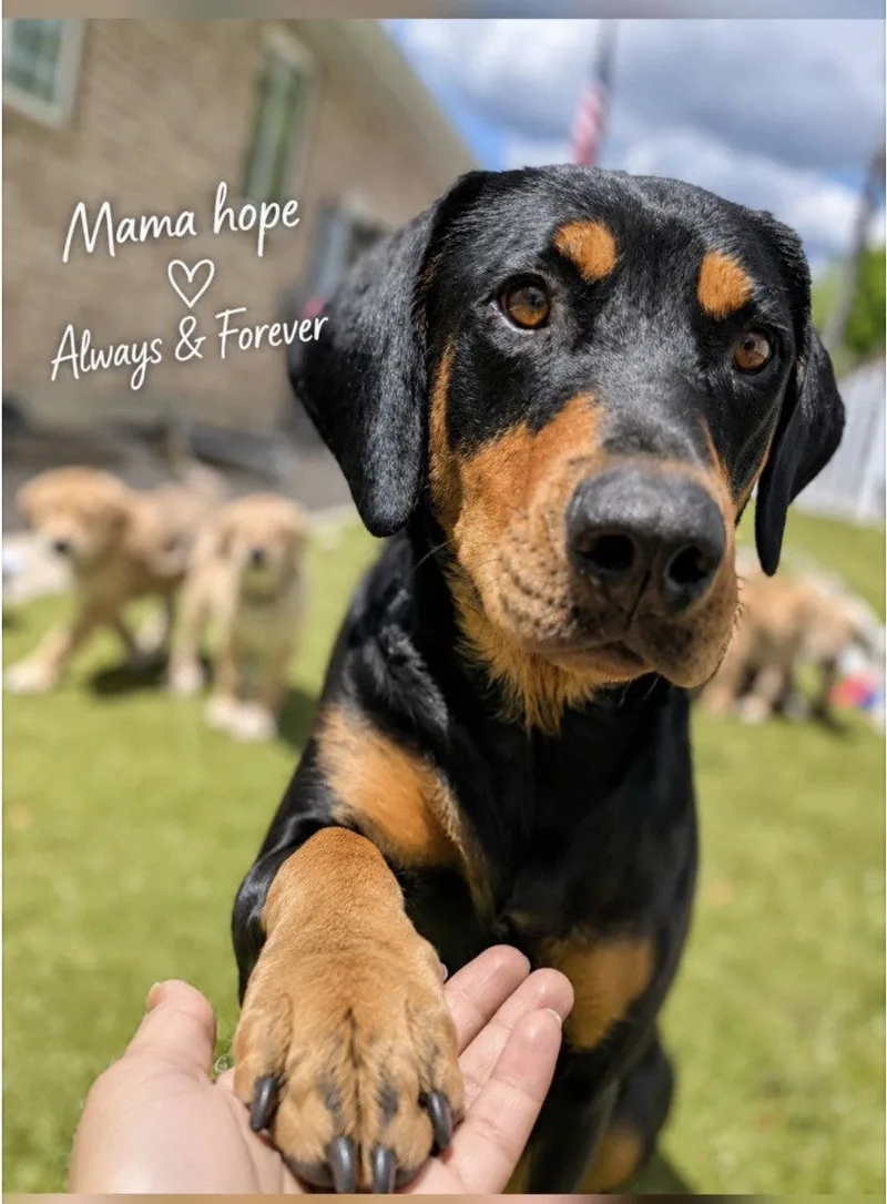 Mama Hope thumbnail 3