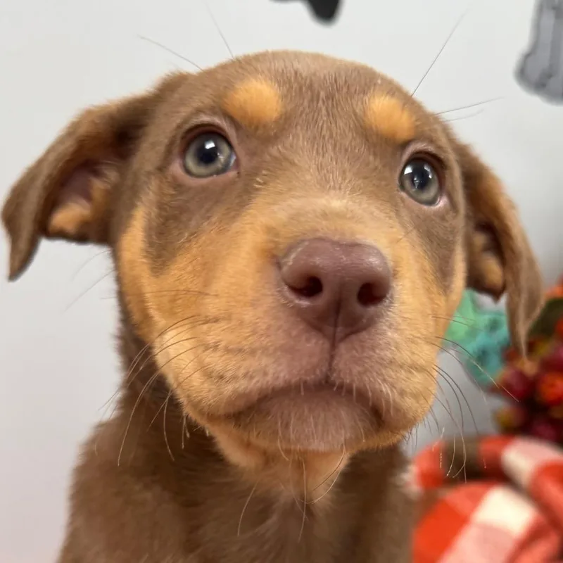 Winnie thumbnail 3