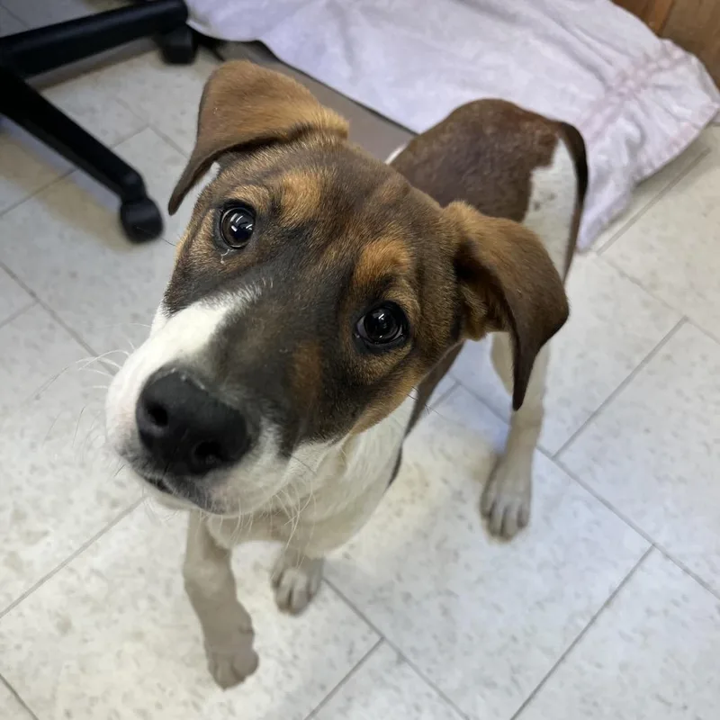 Squanchy thumbnail 2