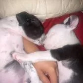 Coco Pop thumbnail 2
