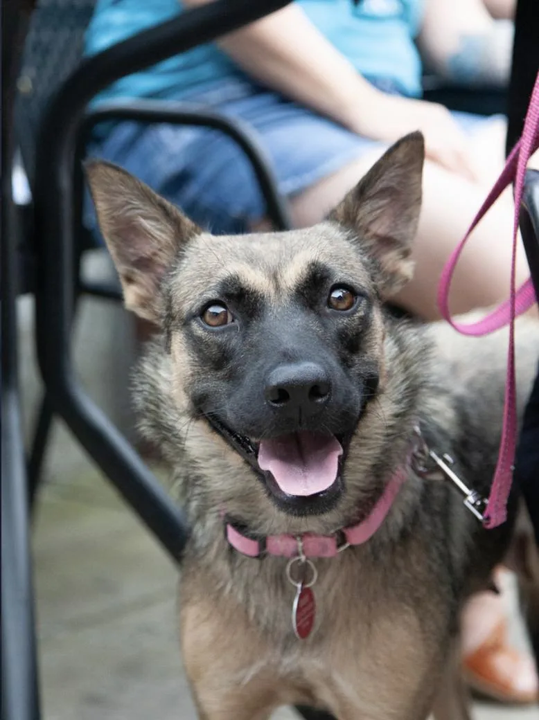 Amaya