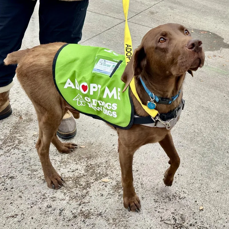 Gus In Colorado thumbnail 2