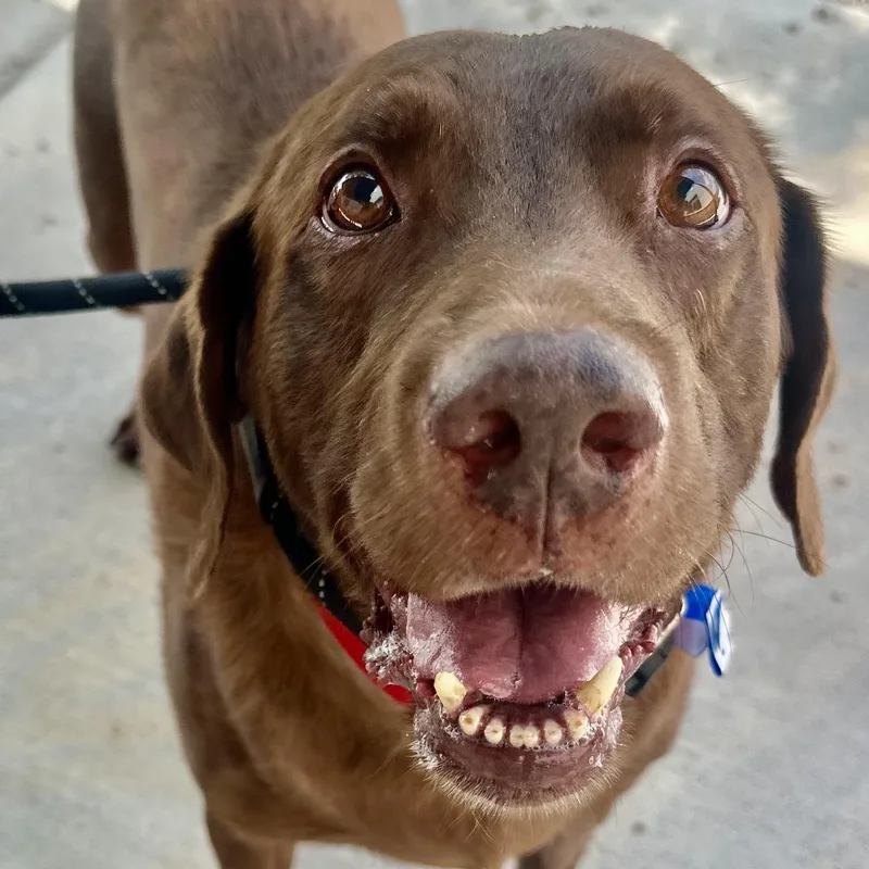 Gus In Colorado thumbnail 3