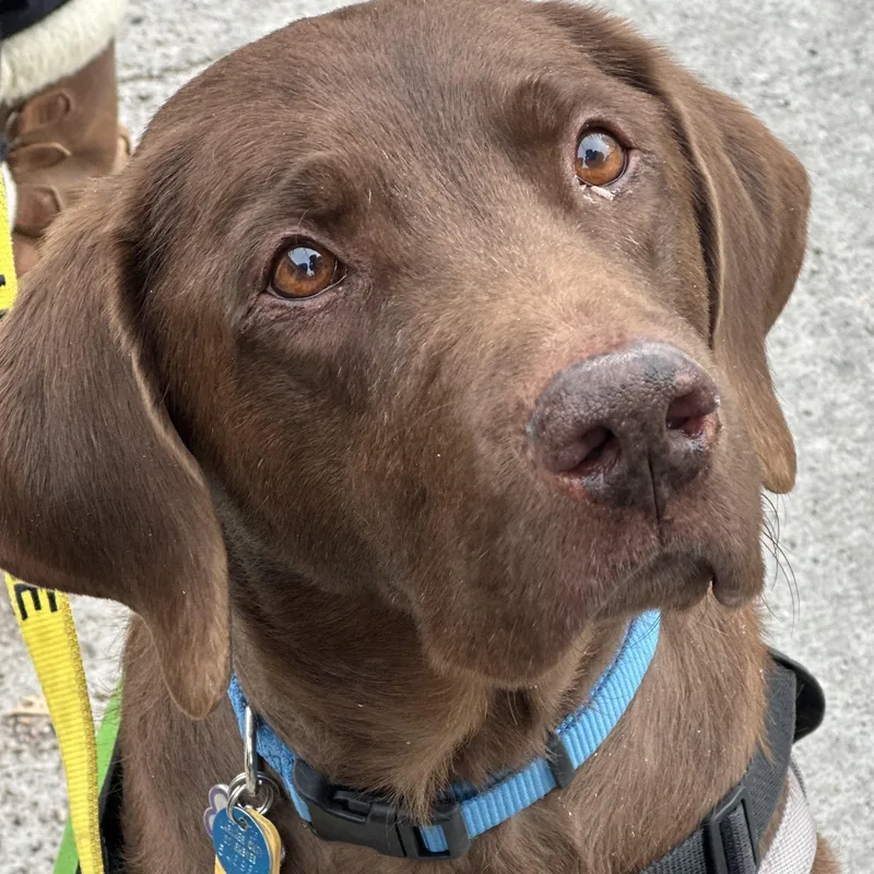 Gus In Colorado thumbnail 4