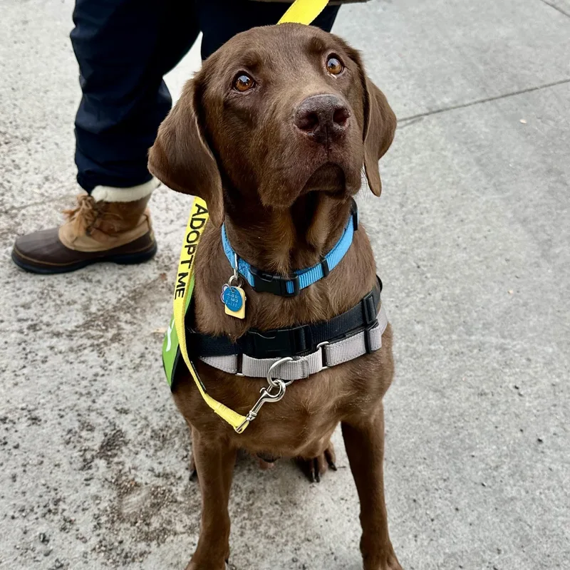 Gus In Colorado thumbnail 5