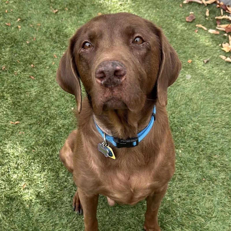 Gus In Colorado thumbnail 6