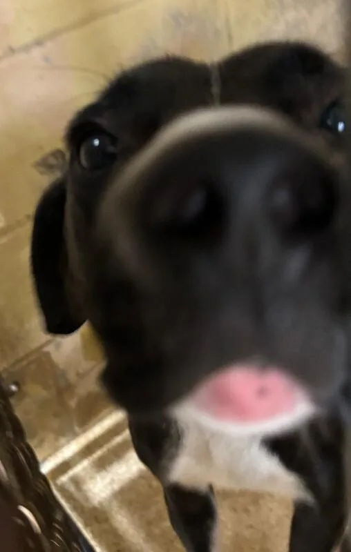 Dustin thumbnail 3