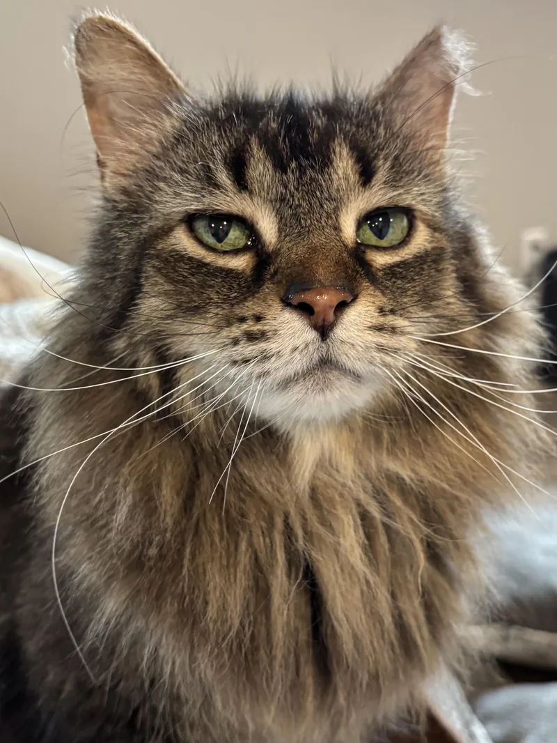 K.d. & Patrick thumbnail 2