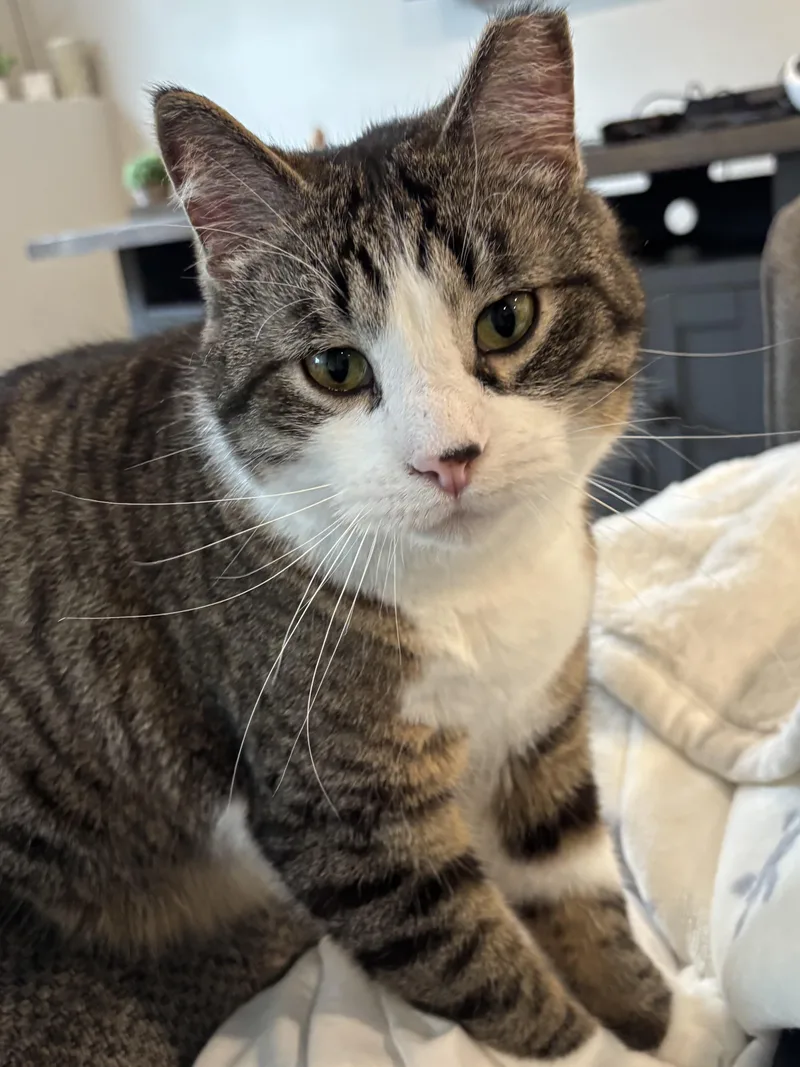 K.d. & Patrick thumbnail 3