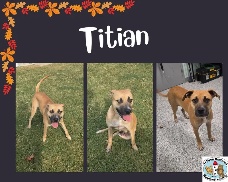 Titan thumbnail 2