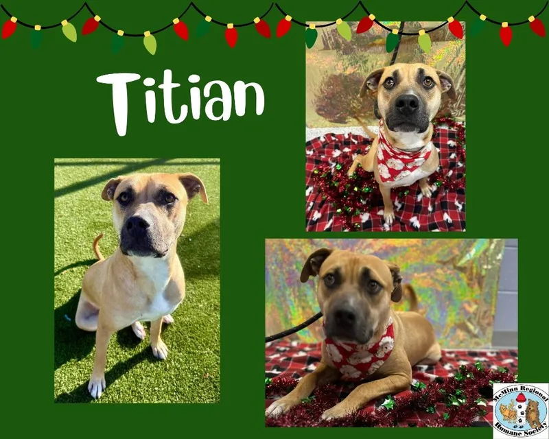 Titan thumbnail 3