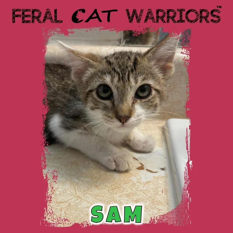 Sam .