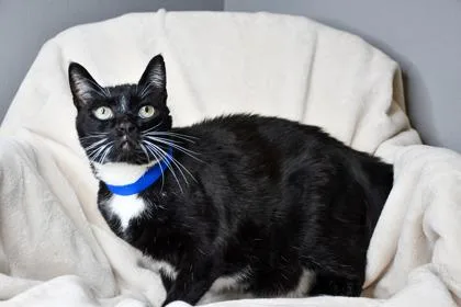 Tux