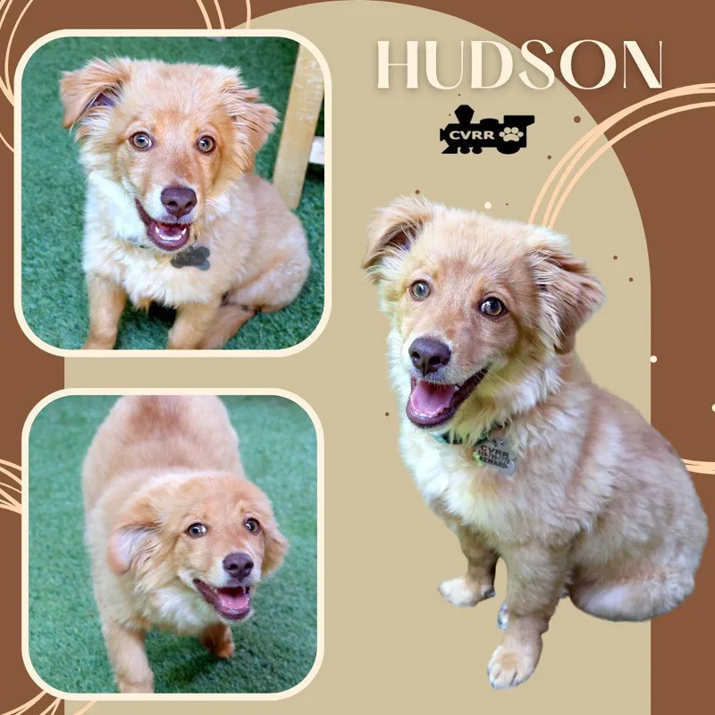 Hudson
