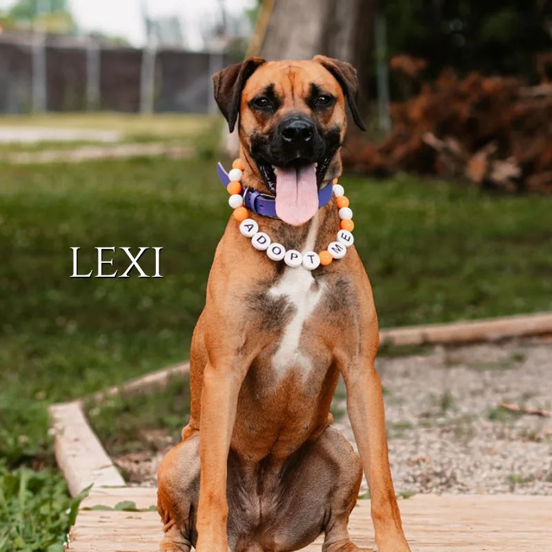 Lexi