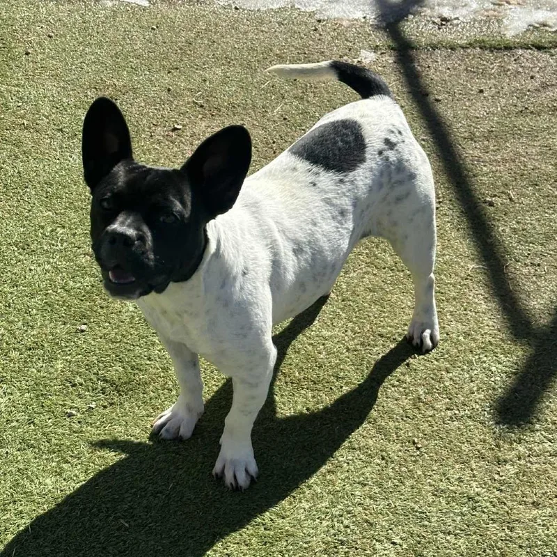 Samantha thumbnail 2