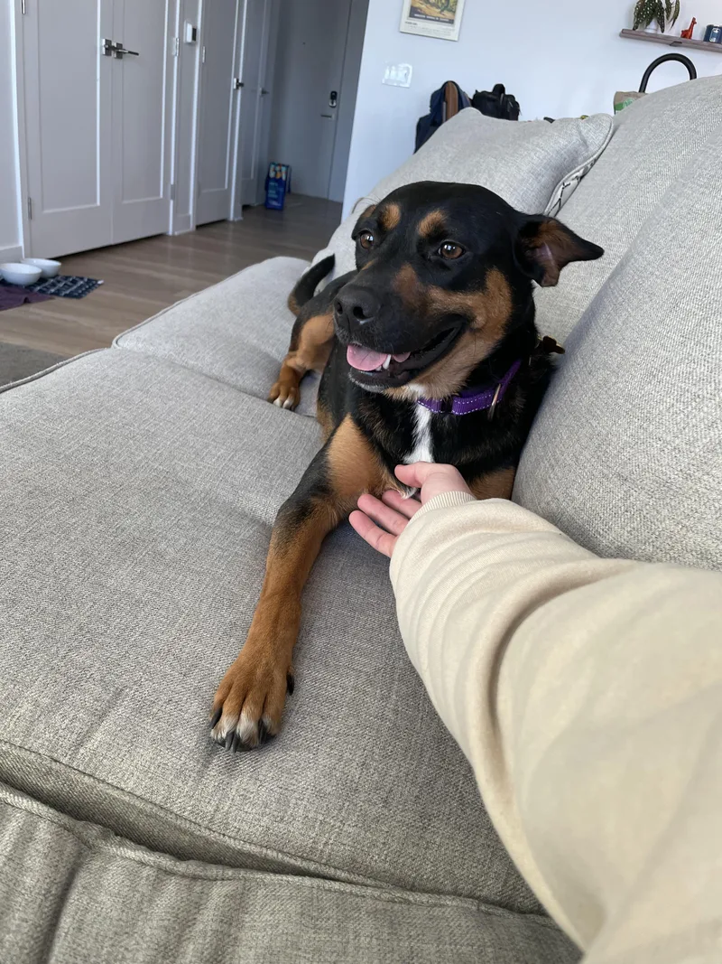 Bubbly Betsy thumbnail 5