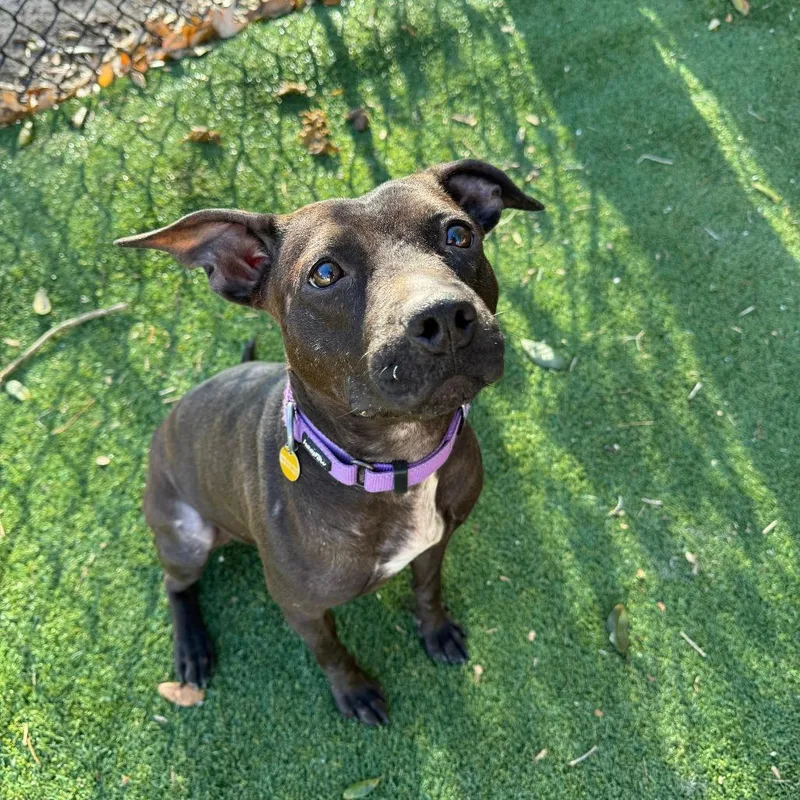 Skittles thumbnail 2