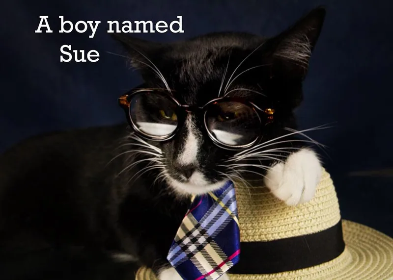 A Boy Named Sue thumbnail 4