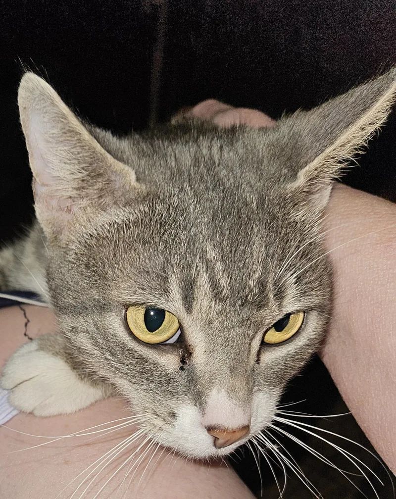 Lakita aka "Kita" thumbnail 2