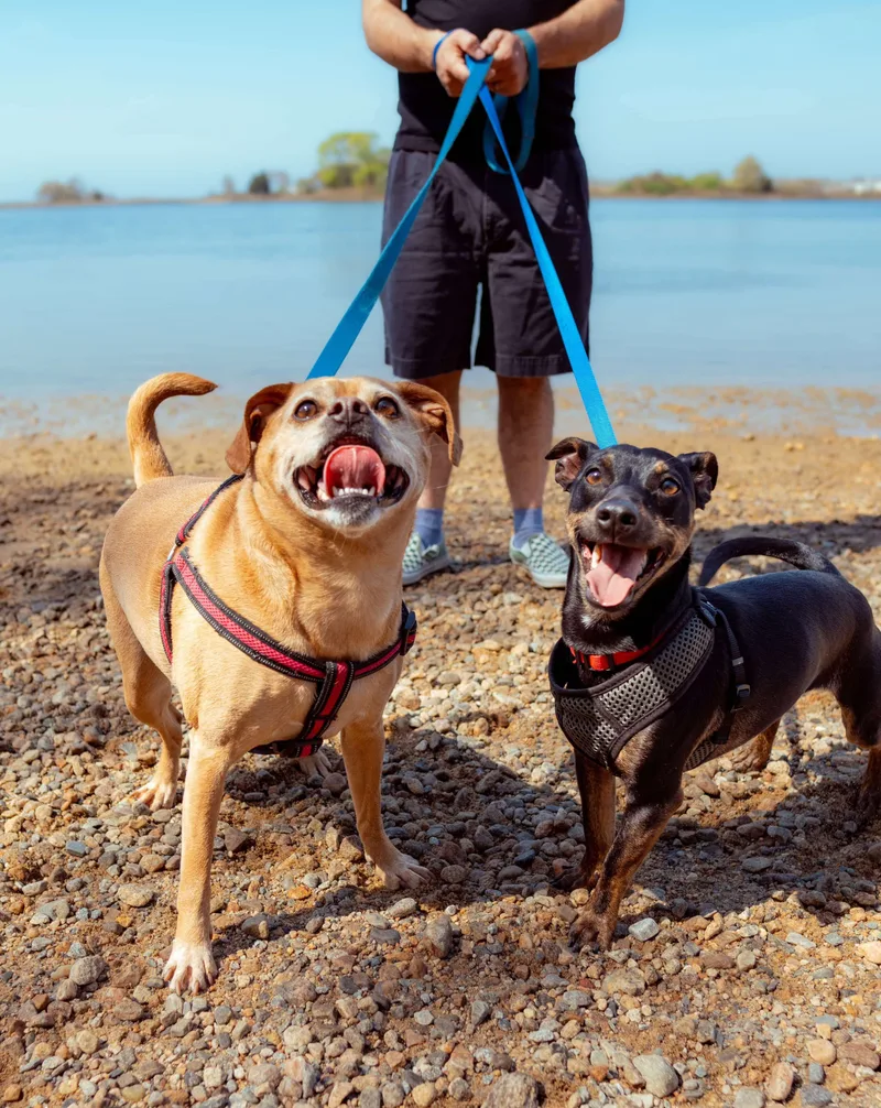 Troy And Adrienne thumbnail 2