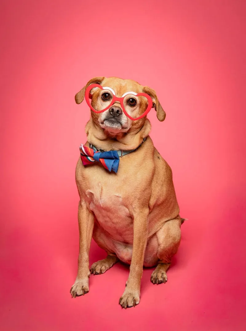 Troy And Adrienne thumbnail 3