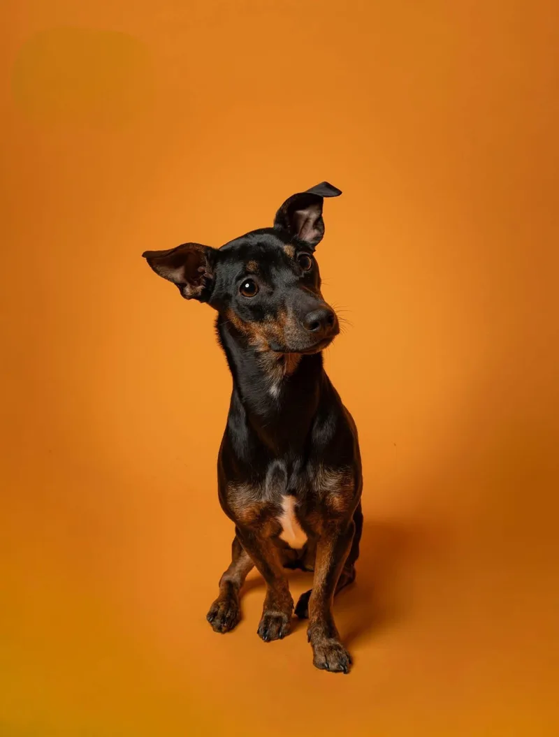 Troy And Adrienne thumbnail 4