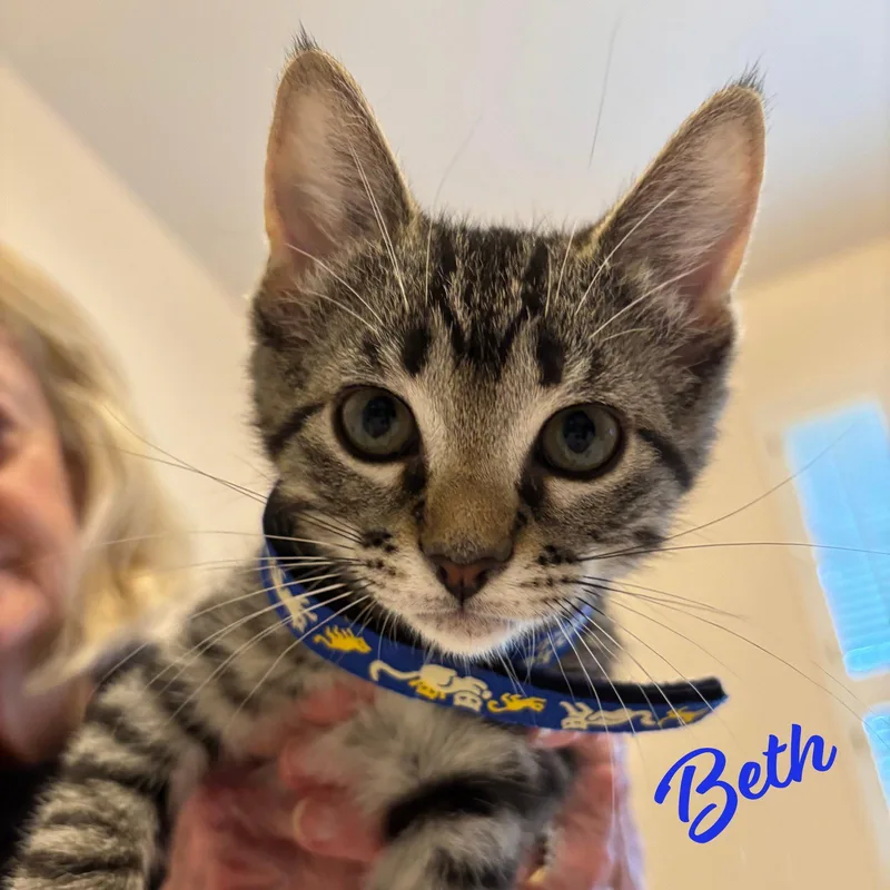 Beth LittleWomenlitter thumbnail 2