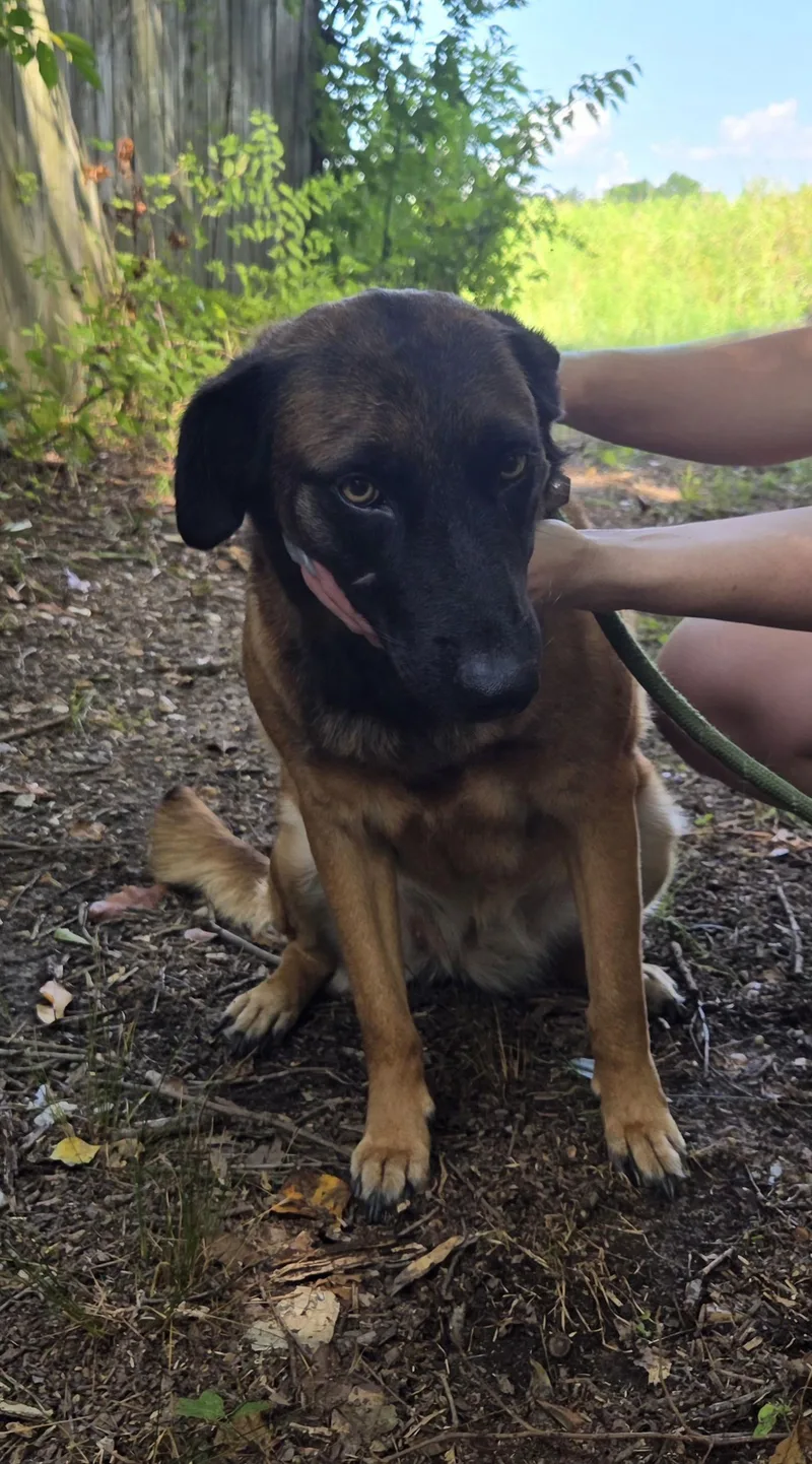 Sweat Pea thumbnail 2