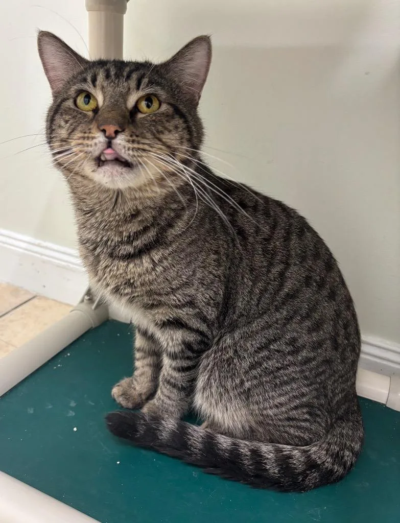 Champagne thumbnail 2