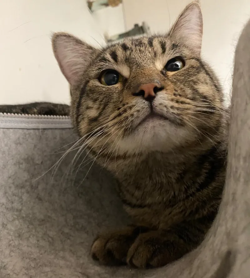 Champagne thumbnail 3